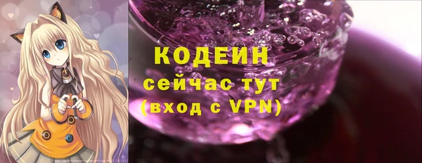 гидра Арсеньев