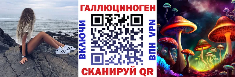 МЕГА ONION  купить   Козьмодемьянск  Галлюциногенные грибы Psilocybine cubensis 